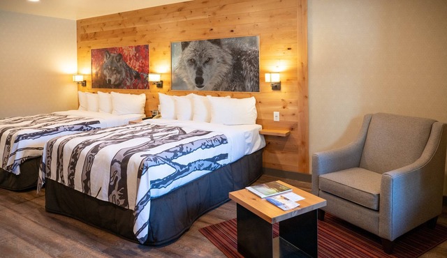 Comfortable Suite at the Base of Tunnel Mountain
