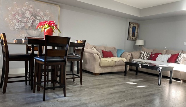 Contemporary two bedrooms lower level guest suite with luxury hot tub