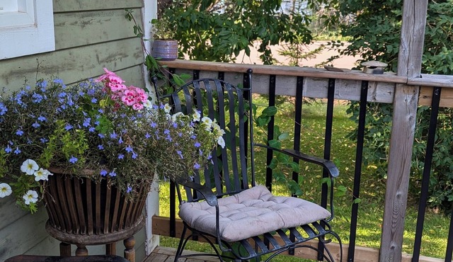 Cozy 1 bedroom house, on the North shore of NS