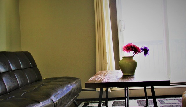 Cozy and lovely 1 bedroom apartment w free parking premise