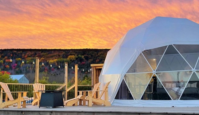 Cozy and luxurious Diamond Glamping Dome with panoramic views. Pet Friendly