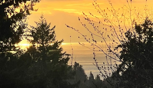 Cozy Cordova Bay Suite - 5min from beach!