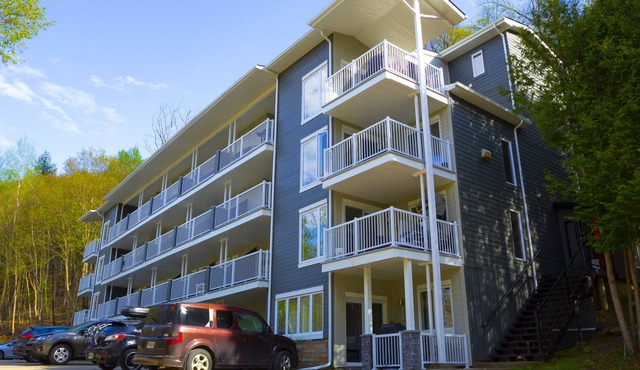 Cozy Mountain View, 6 minutes to ski hill mountain view in historic village.