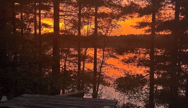 Cozy, peaceful cottage on quiet lake. Relax and unwind with a 180 lake view.