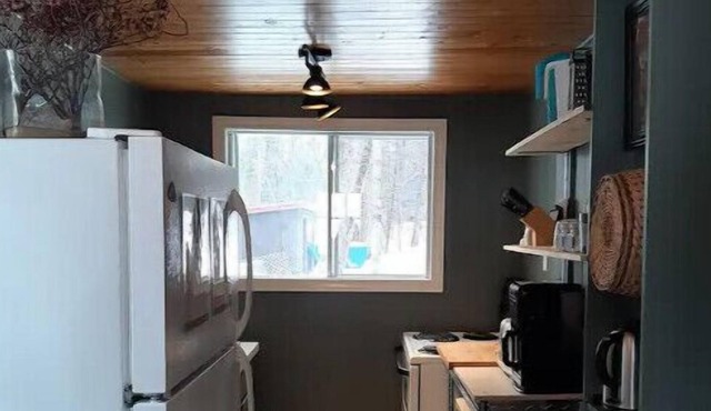 Cozy private cabin in stunning Dorset. 2 min to swim/hike/snowmobile/skate/ski!,