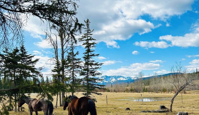 Cozy rustic cabin only 45 minutes from Jasper! Pet friendly.