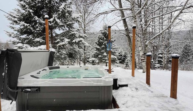 Cozy wood cabin with Spa, 5 mn from snowmobile trails & beaches - 8 pers