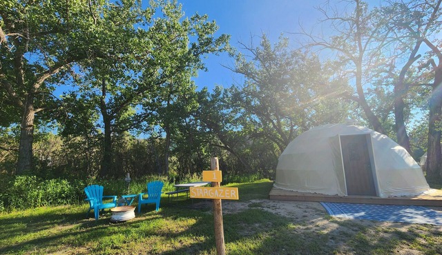 #D1 Stargazer Dome -1 Qn & Futon Bed-No pets please