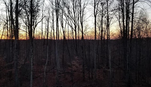 Delet e this property