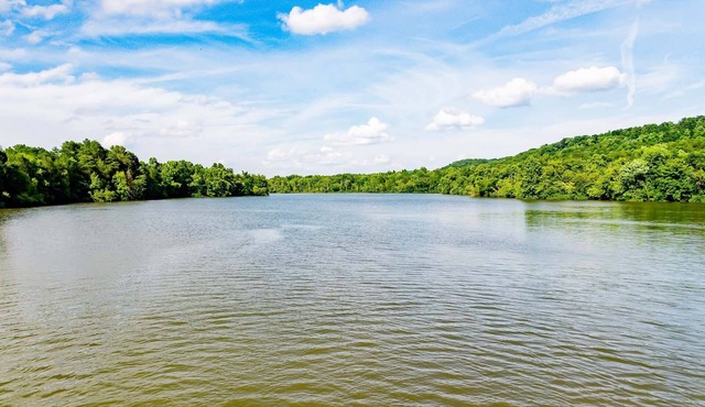 Dog Friendly | Firepit | Sunroom | Public Boat Launch | Close to Downtown Loudon & Marina