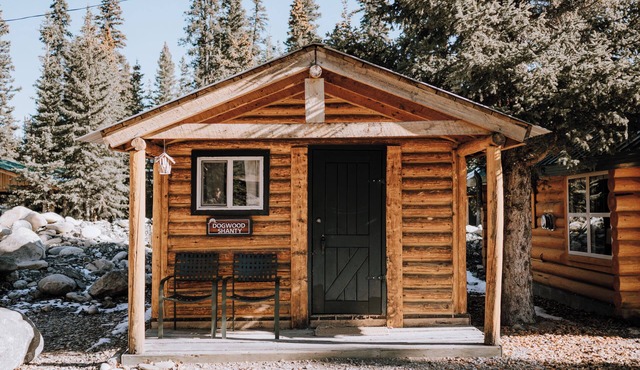 Dogwood Cabin: Cozy Adventure in the Mountains