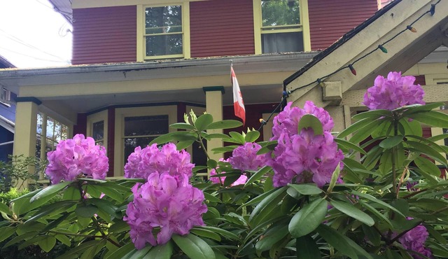 Douglas Guest House