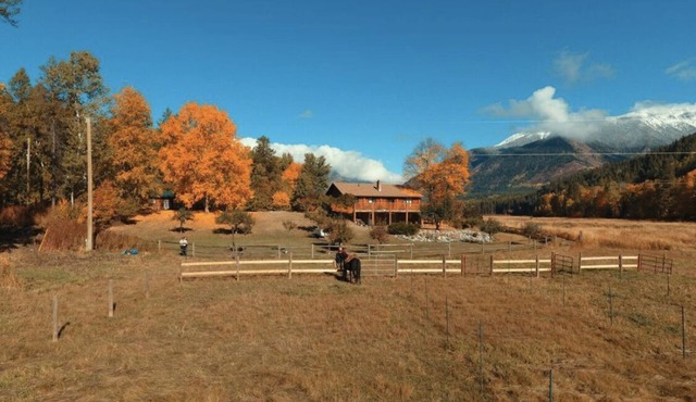 Douglas Lake Log Cabin - 10 Person House - Great Mountain Views All Seasons