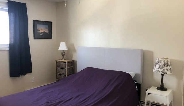Downtown walkable to restaurants, bars public transportation and the waterfront.