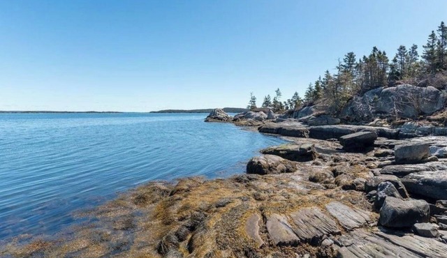 Eastern Shore: 9 Acres of woods & Private Oceanfront - Hot Tub Option