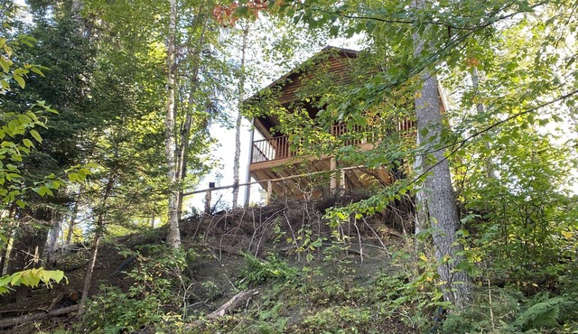 En Forêt, Tranquille, Sans Voisin Proche Mais Proche de Tout