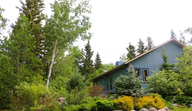 Everlong Acres - Pet Friendly Forest Escape.