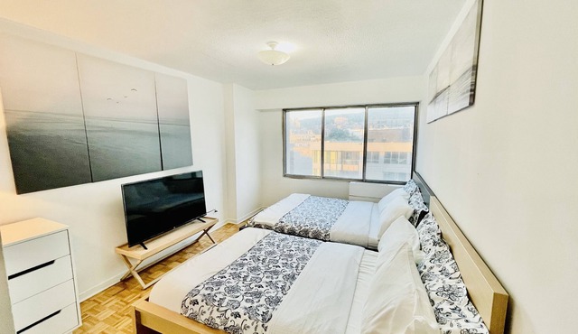 Exquisite spacious apartment downtown Montreal