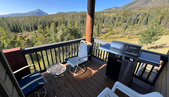 Forest Park 3 Bed 4 Bath Townhome