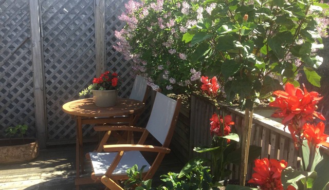 Gite B&B du Vieux-Port