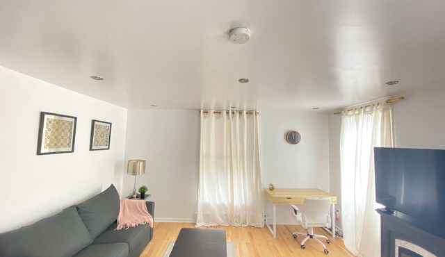 Great Natural Light apartment in Historic Building
