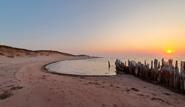 Hidden Dunes Coastal Cottage