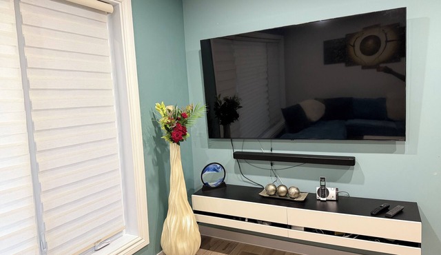 Huge, immaculate Chris manor house 5 minutes from amusement park and gym