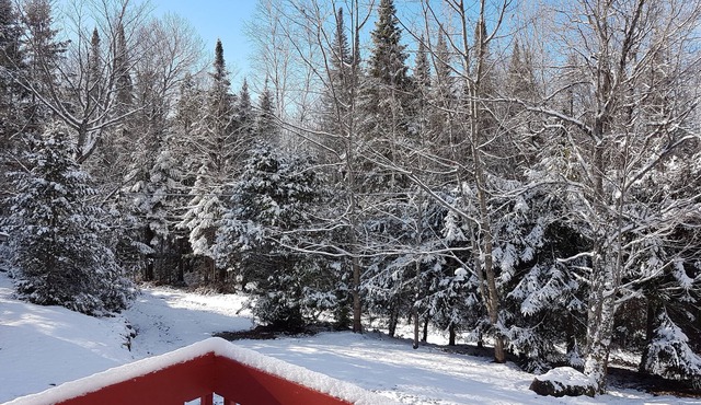 Intimate 4 season chalet in Lanaudière Quebec WIFI FIREPLACE terrain privé + lac