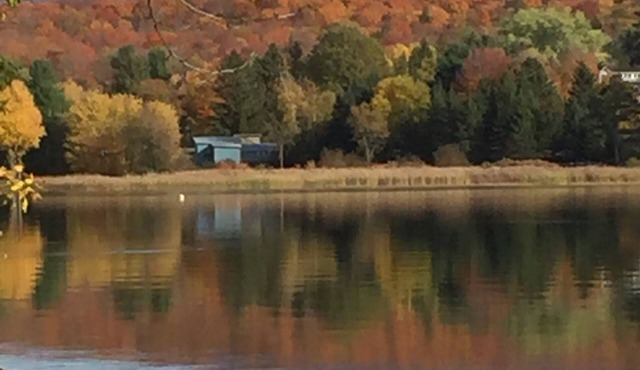 Lac Brome Lakefront cottage