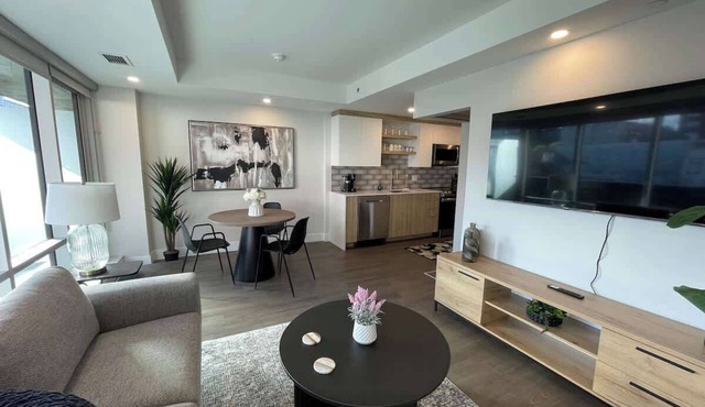 Large 1 BR downtown with lots of sunlight