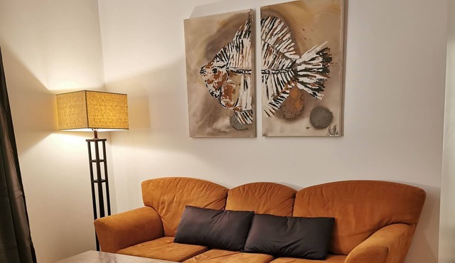 Large and beautiful apartment in downtown Montreal