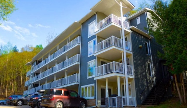 LE C17: Cozy Condo in Historic Village 6 minutes from the Ski Base!