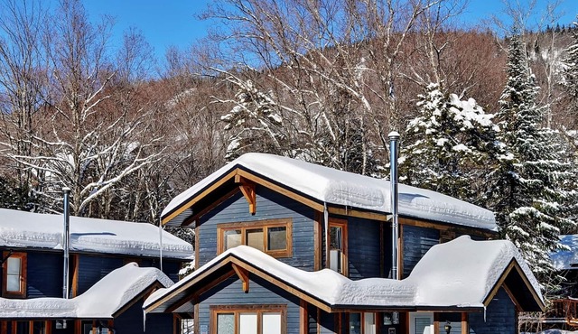 LE NEW-YORKAIS- 10 chemin Alpin, Stoneham, 235255