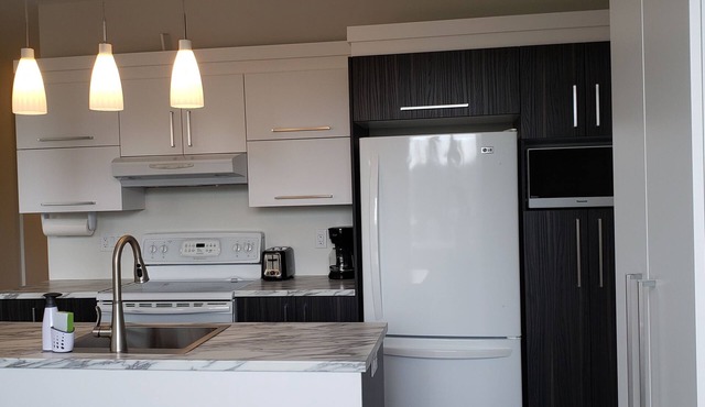 Le Tcheko Timi 3 rooms downtown Chicoutimi