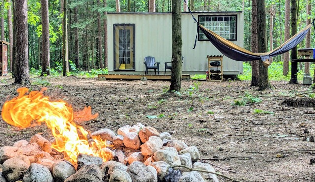 Little Can in the Pines - Bunkie No. 1