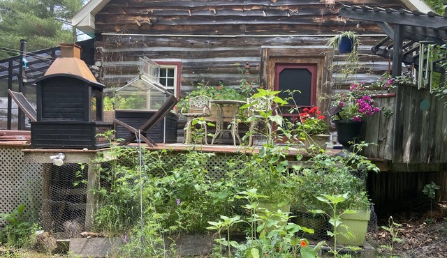 Log Cabin Getaway for Nature Lovers. An escape from the city with animal friends
