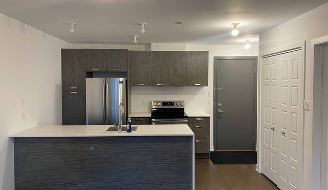 Lovely 1 bedroom condo in downtown laval