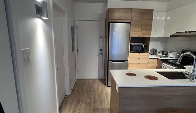 Luxueux condo in Downtown