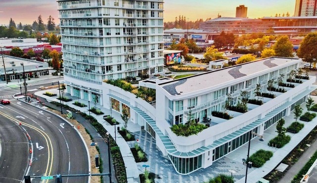 Luxury Downtown Townhome with View