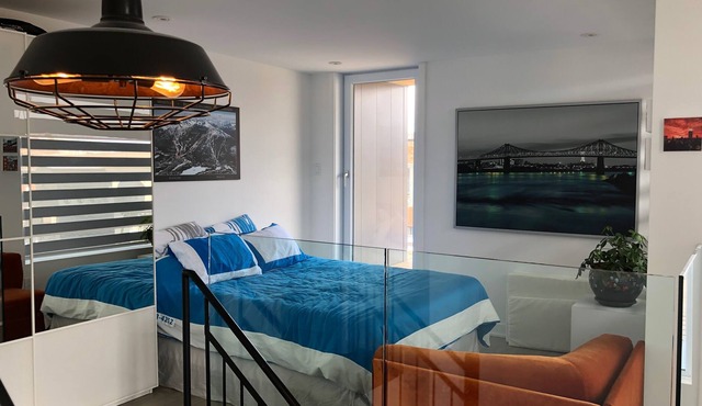 Luxury loft downtown with privater terrasse, everything included.