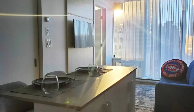Luxury Studio w/Full Amenities Downtown Montreal
