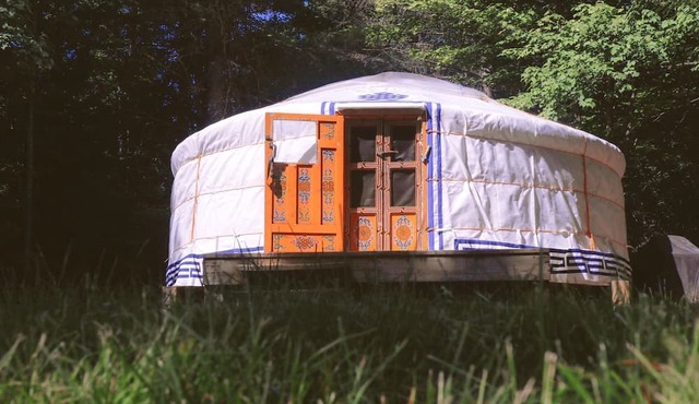 Luxury Yurt Camping for Four Guests in Mattawa, Ontario, Canada