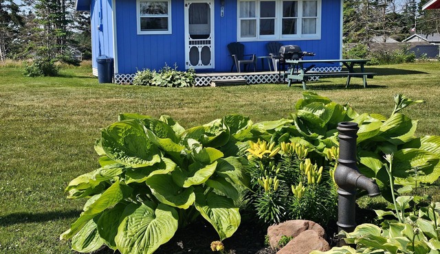 Lyons Cottages - Cottage #3, 2BR Walk to the Beaches of Stanhope National Park!