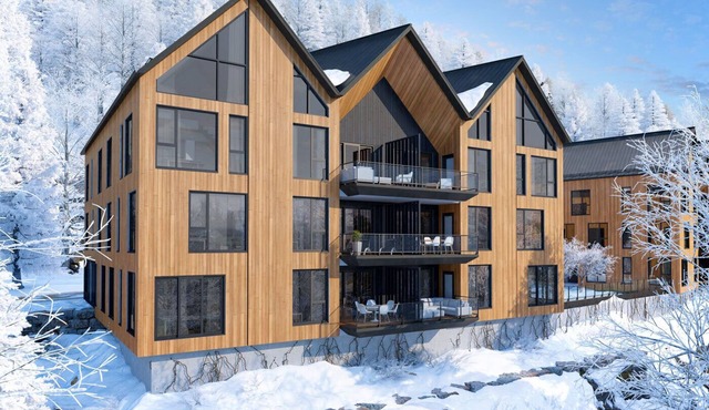 Magnifique Condo en Montagne