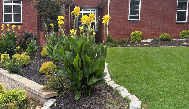 Main level access = 2 BR, 2 private baths, and much more. Wheelchair accessible.
