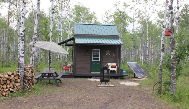 Micro-cabin nestled in secluded forest