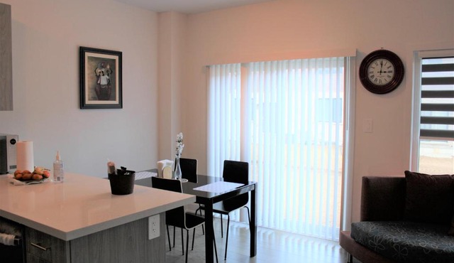 Modern Town House Barrie South
