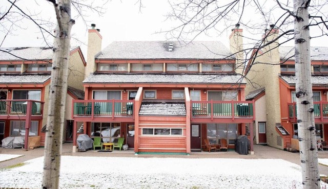 Moguls | Lofted Ski in Ski Out w/Hot Tub Access
