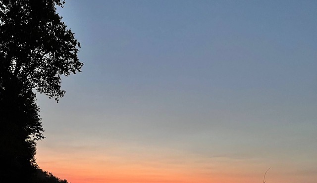 NALA'S LAKEHOUSE RETREAT- WATERFRONT AND OVER 1 ACRE TREE LINED PRIVATE PROPERTY