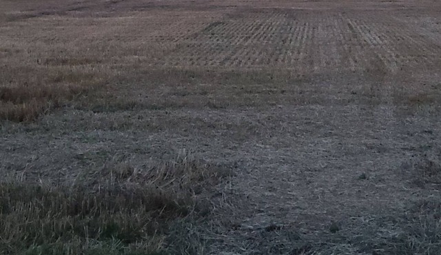 Ocean view cottage in a picturesque rural setting